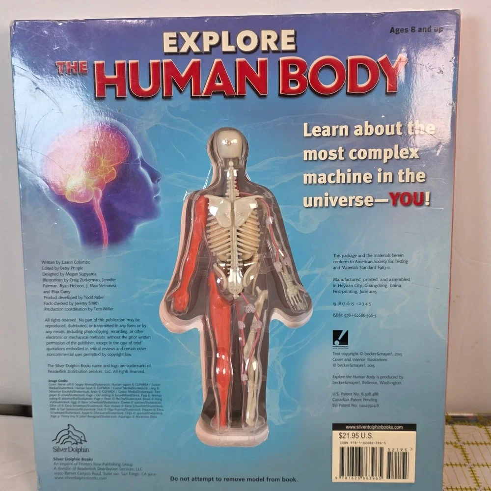 Explore The Human Body Luann Colombo 3D Model Interactive Science educational